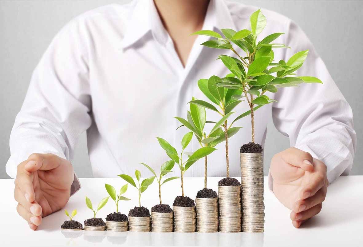 Septembre, mois de la bioéconomie dans la région