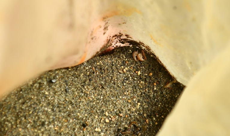 À la recherche de la stygofaune, ces espèces souterraines témoins de la qualité des eaux