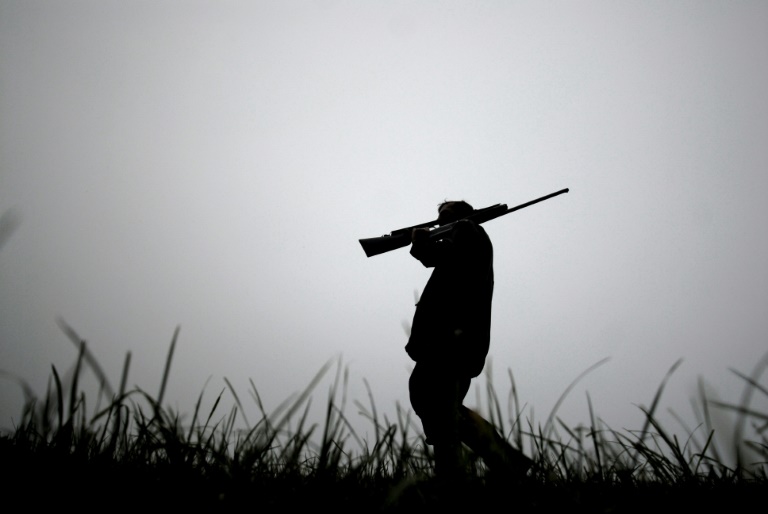 L'interdiction de la chasse à la tourterelle des bois prolongée d'un an