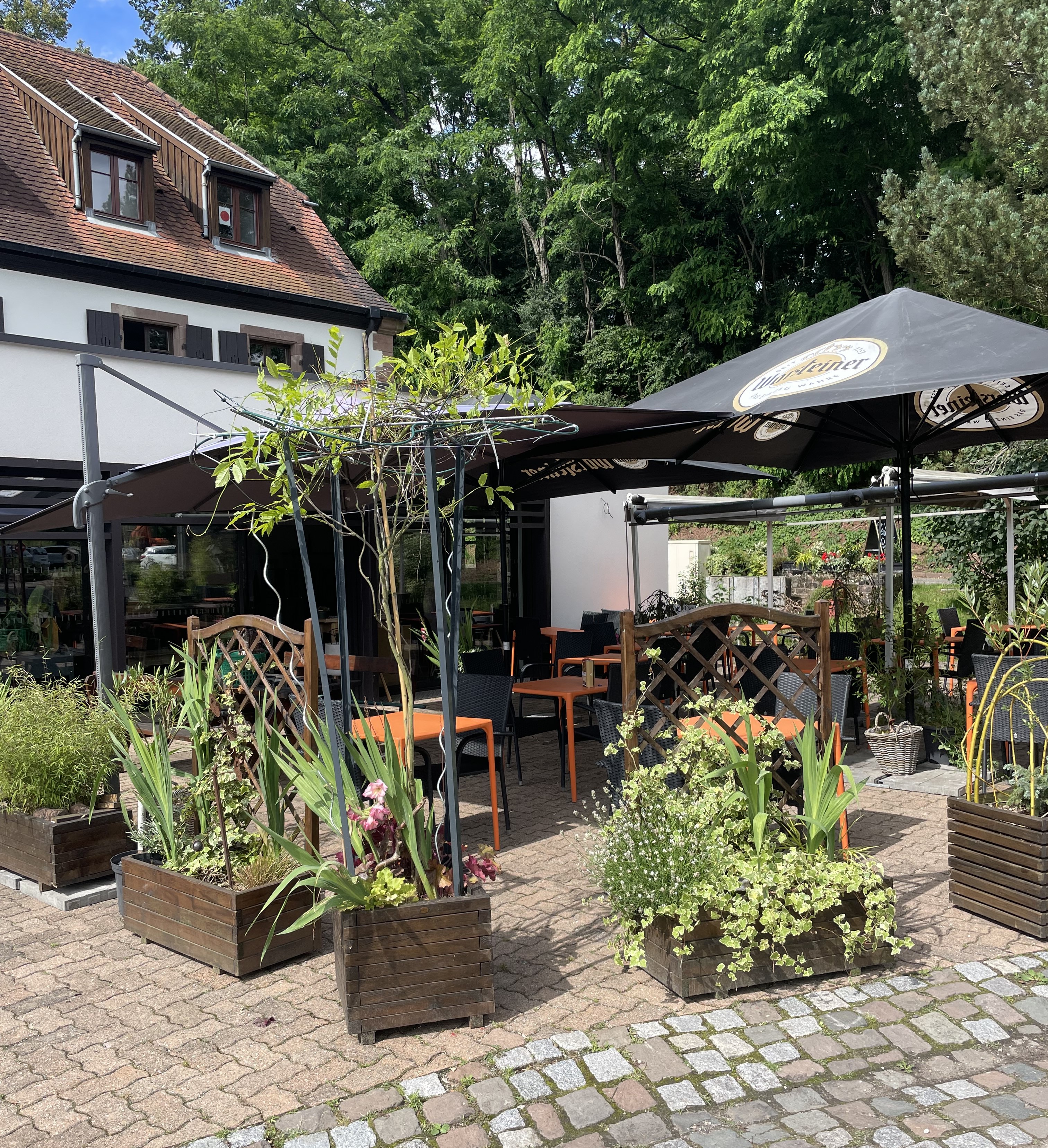 Le challenge de Véronique 