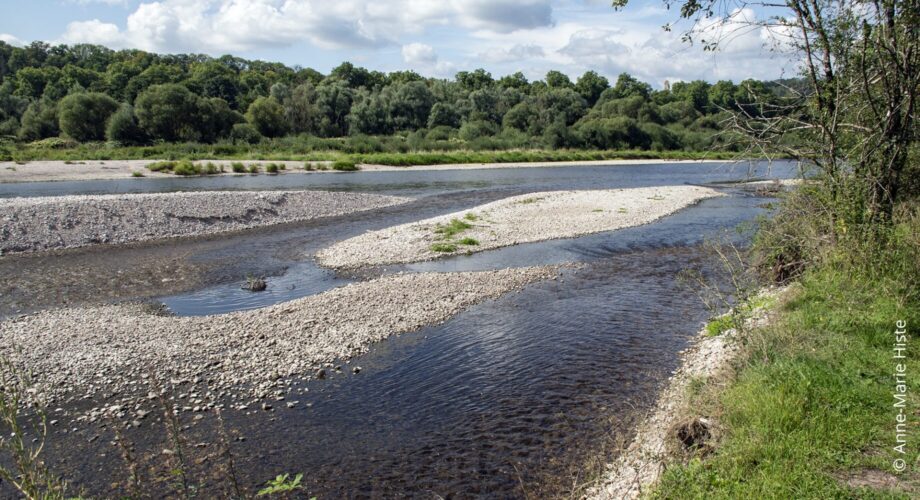 La Moselle en commun : lancement d’un appel à projets