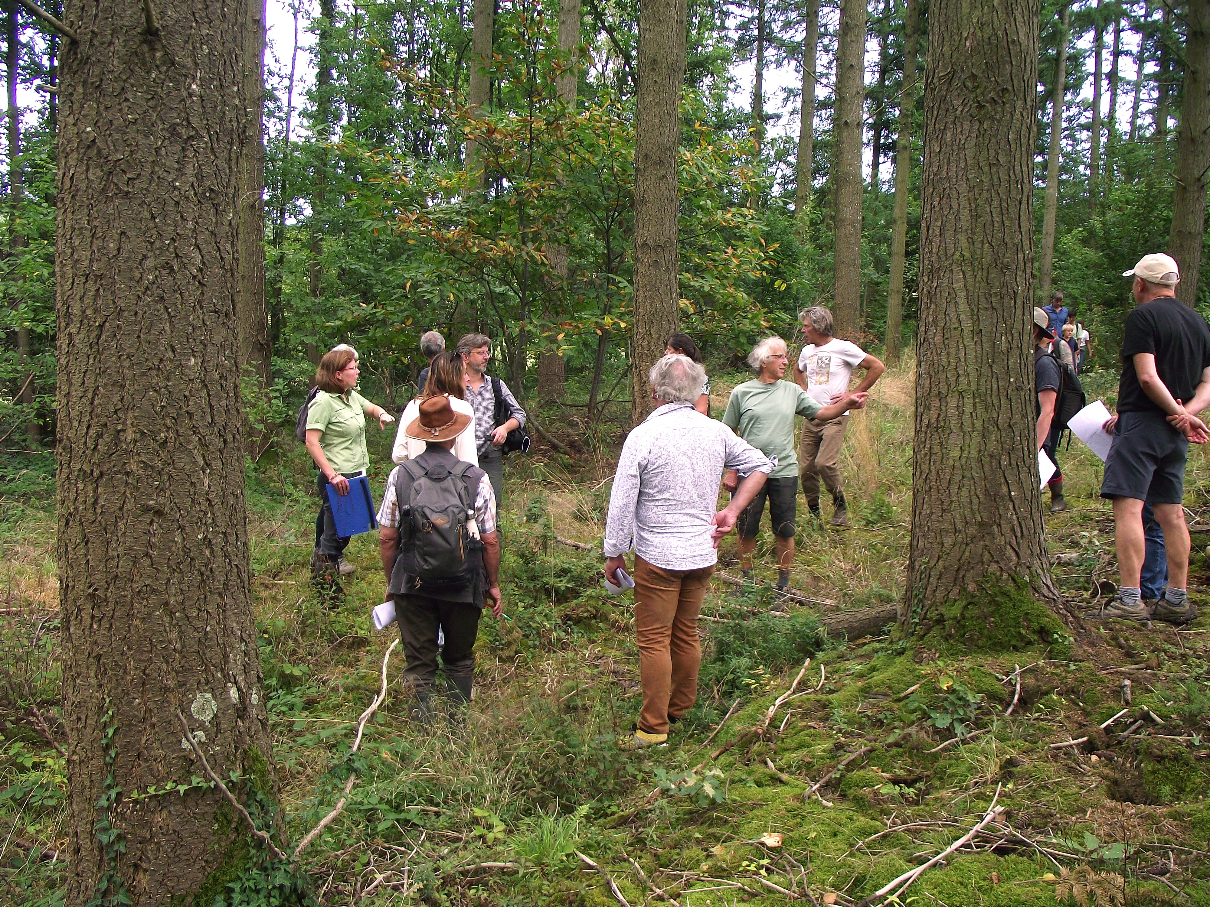 Près de Cluny : une forêt communautaire voit le jour