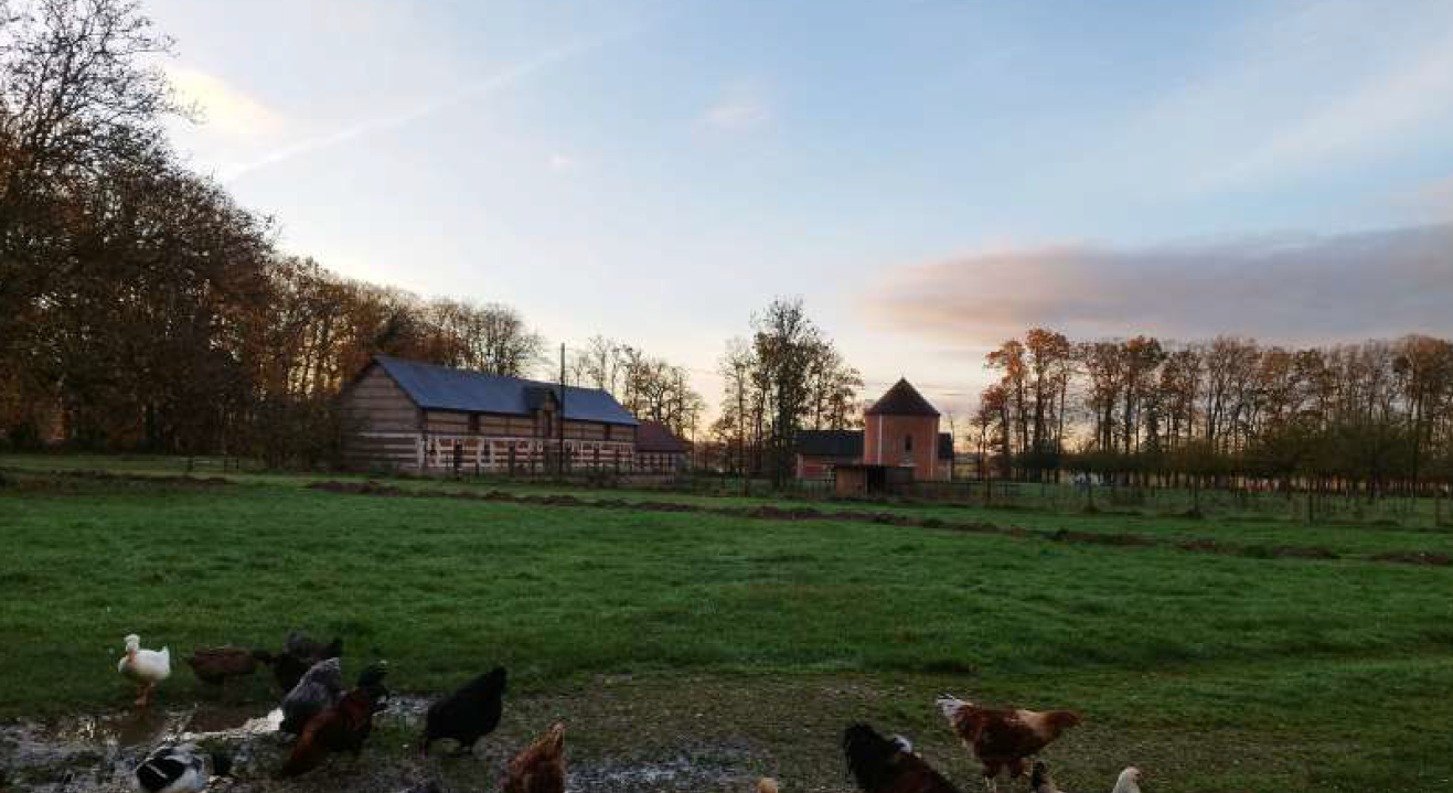 A Bolleville, le Clos-Masure de Guillerville, lauréat du loto du patrimoine 2024