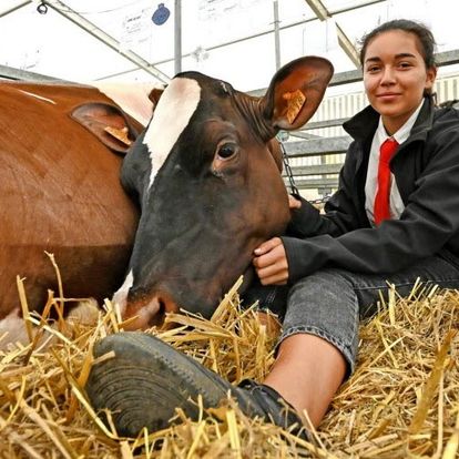 Verdun Expo siffle la rentrée