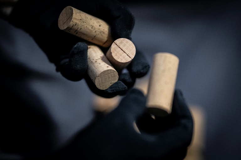 Le Portugal champion mondial du liège, matériau écologique en quête de nouveaux débouchés