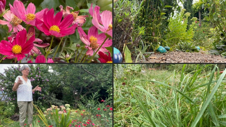 La récolte de miel 2024 en baisse de 40%, selon un syndicat d'apiculteurs