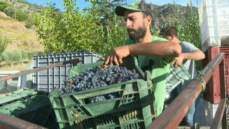 La crise du vin de Porto frappe les viticulteurs du nord du Portugal