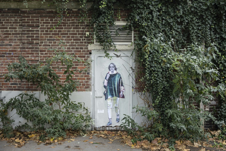 Sur les murs de Lille, des portraits de Gisèle Pelicot, devenue héroïne féministe