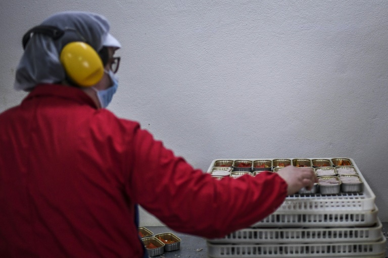 Le thon en conserve largement contaminé au mercure, s'alarment deux ONG