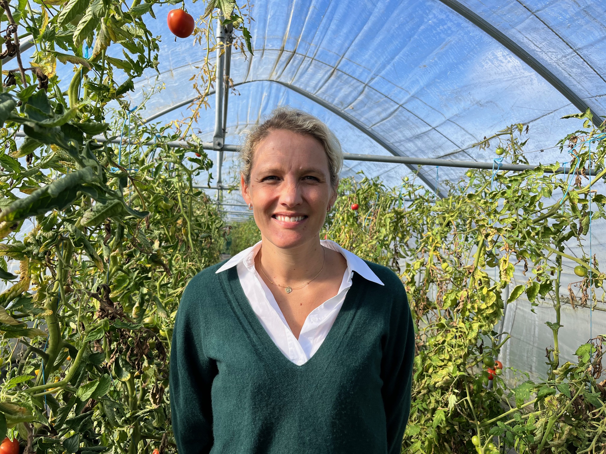 La Ferme du Vinage à Roncq : 250 ans de passion agricole
