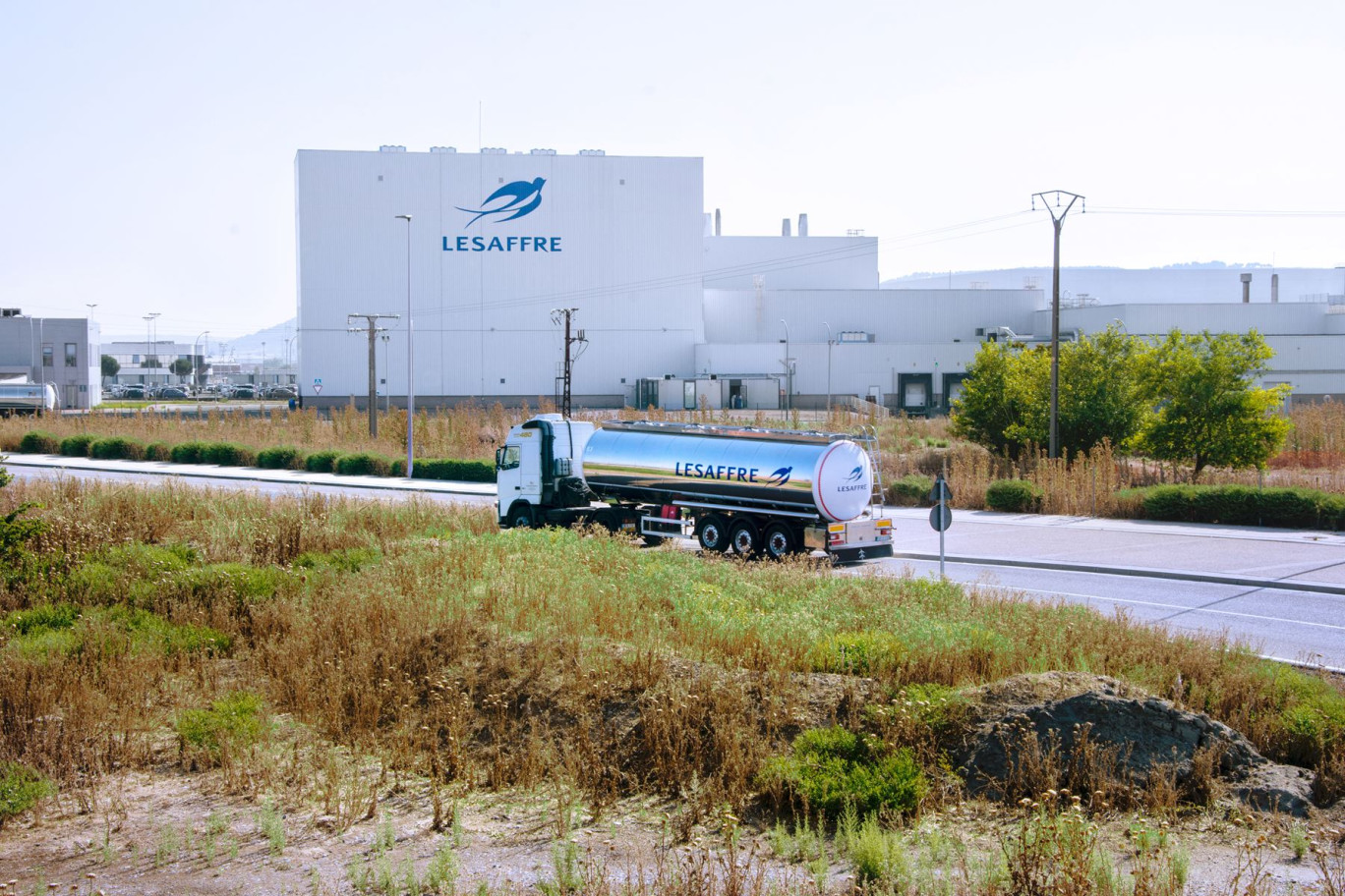 Lesaffre devient actionnaire majoritaire de la société brésilienne Biorigin