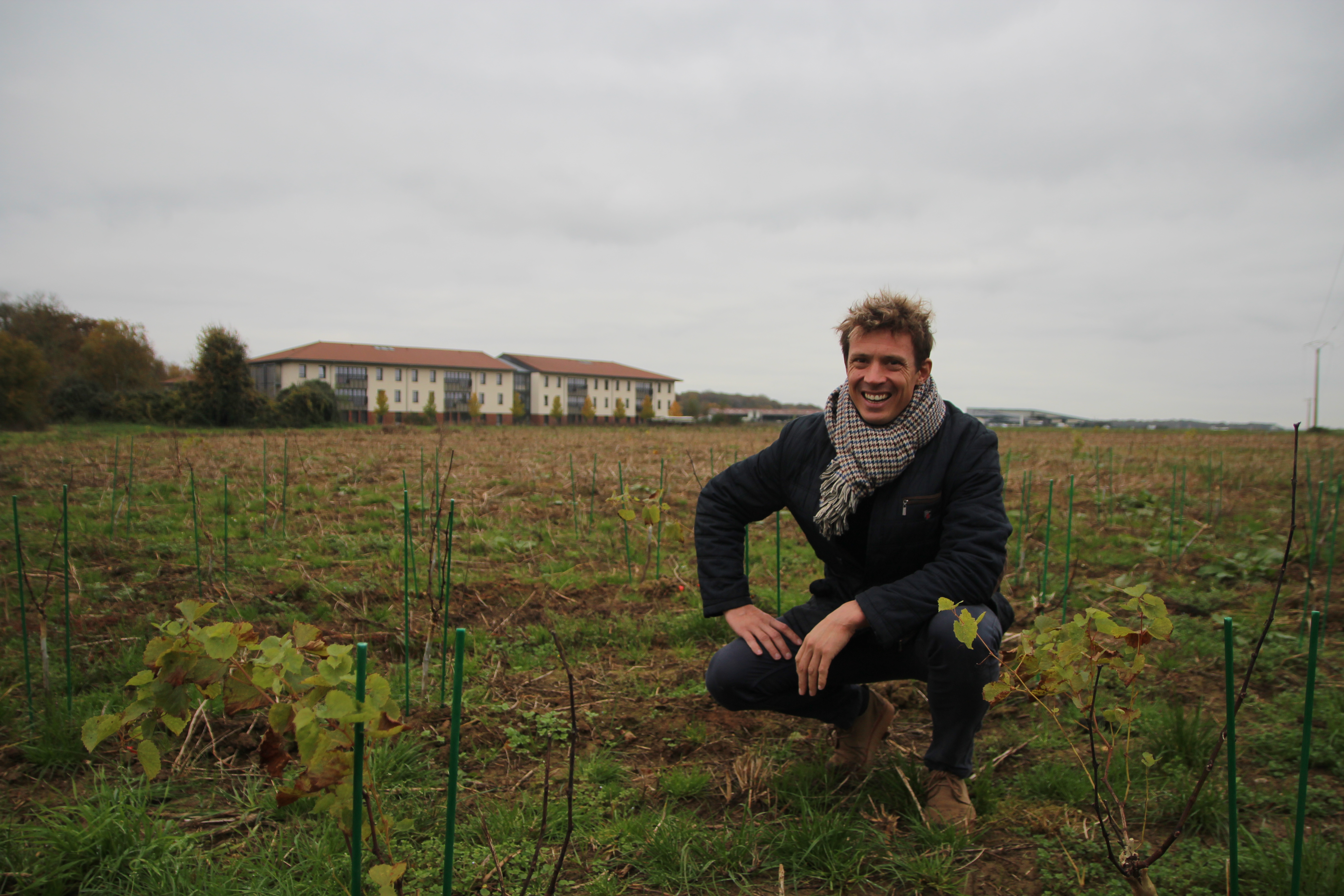 UniLaSalle teste le retour de la vigne en Picardie