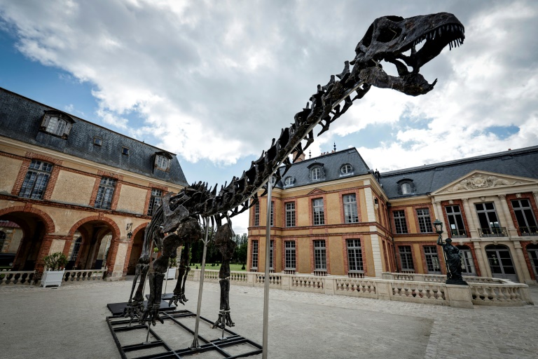 Un squelette géant de dinosaure vendu 6 millions d'euros dans les Yvelines