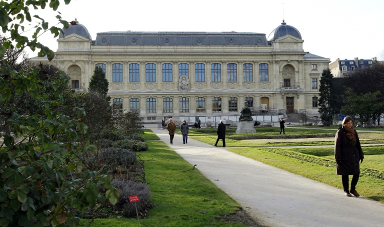 Le Musée de l'Homme explore l'odyssée humaine des migrations