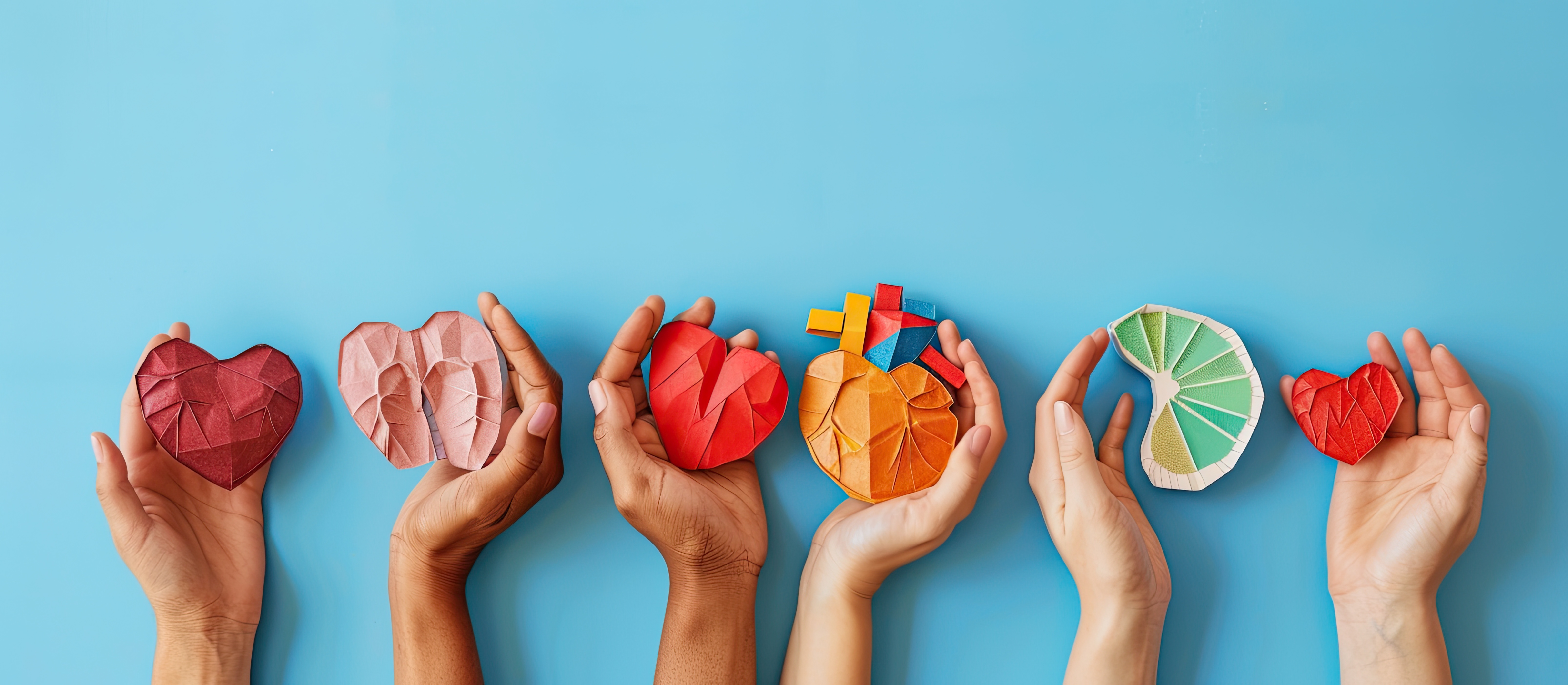 Épinal, fière ambassadrice du don d'organes