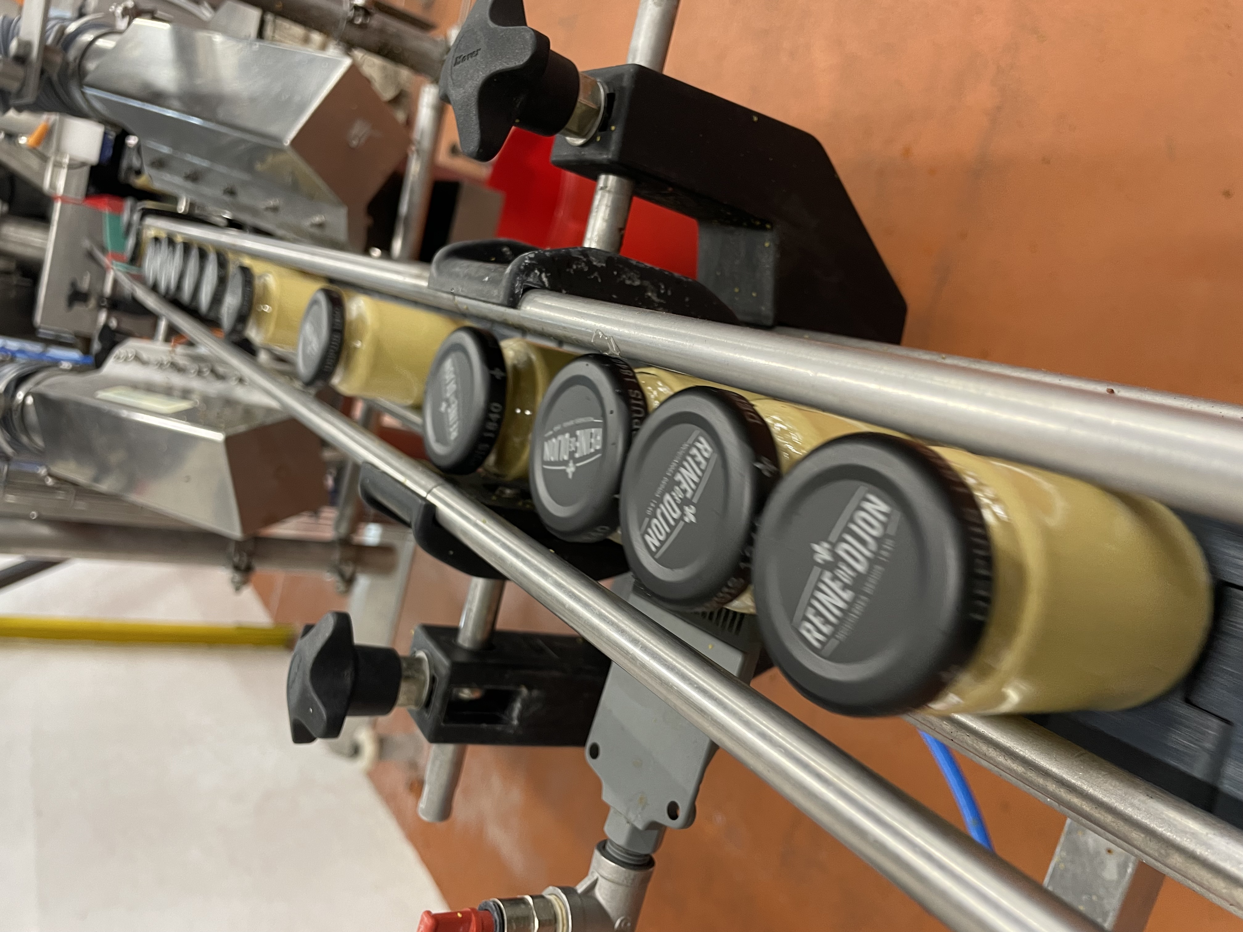 Une moutarde de Bourgogne vraiment bourguignonne