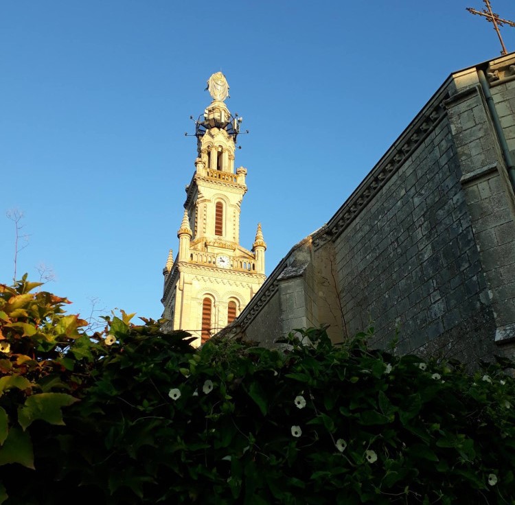 Les médailles du Saintois, vitrine d’un territoire 
