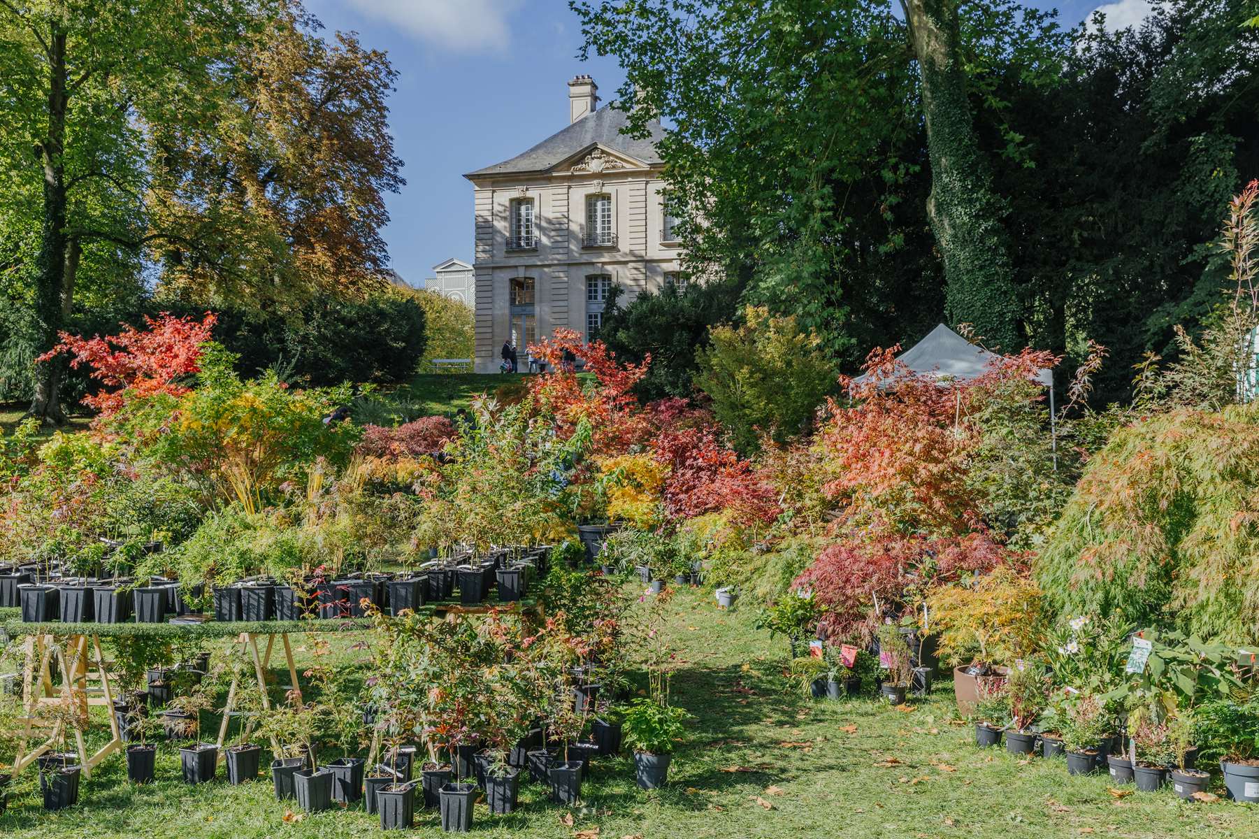 Une nouvelle réussite pour Les Journées des Plantes de Chantilly 