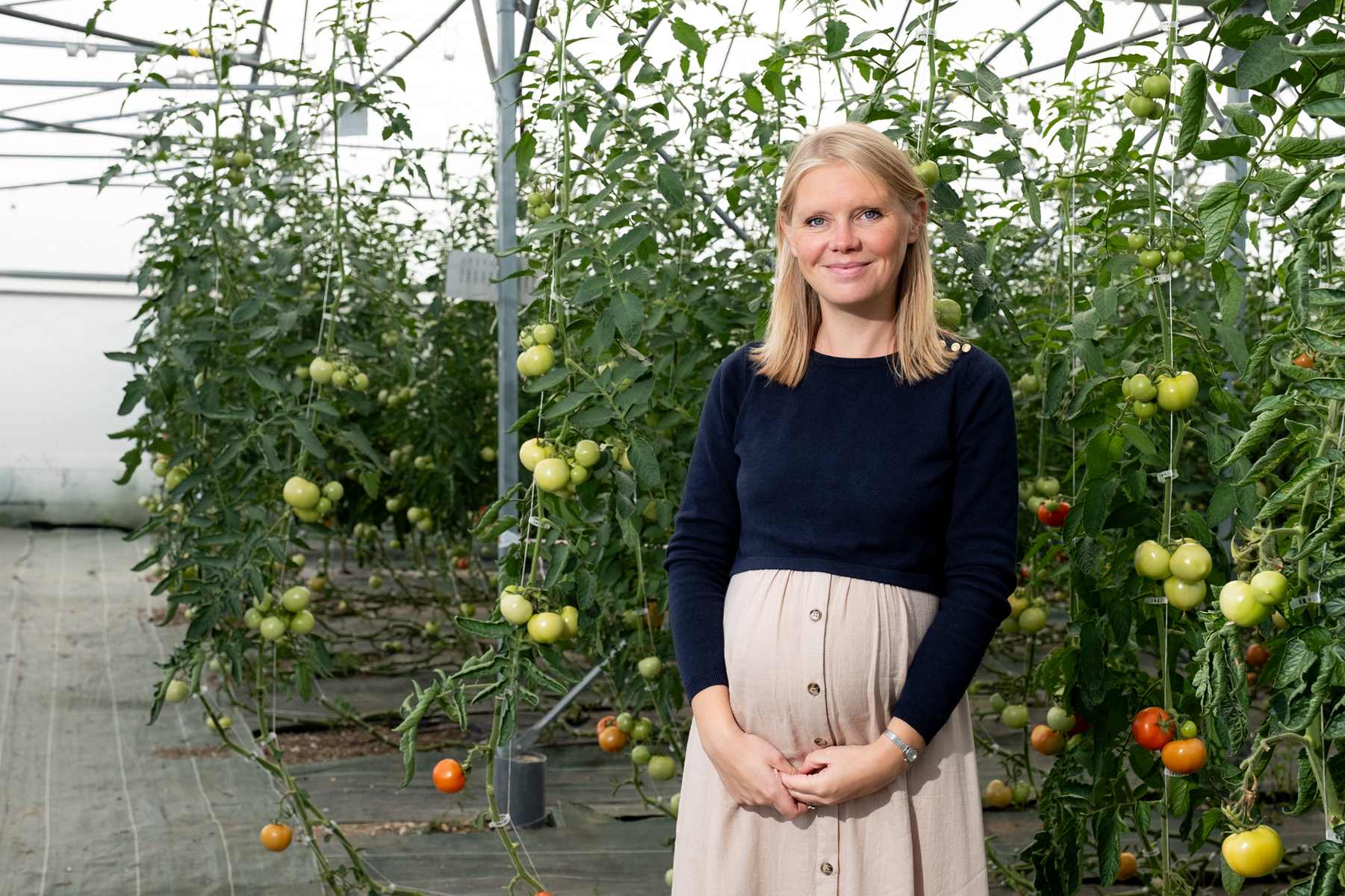 Le PAT d'Amiens Métropole dans sa phase opérationnelle