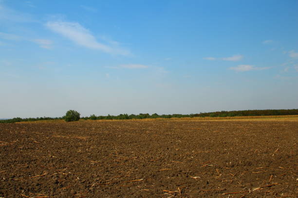 La grande question des sols sur les territoires 