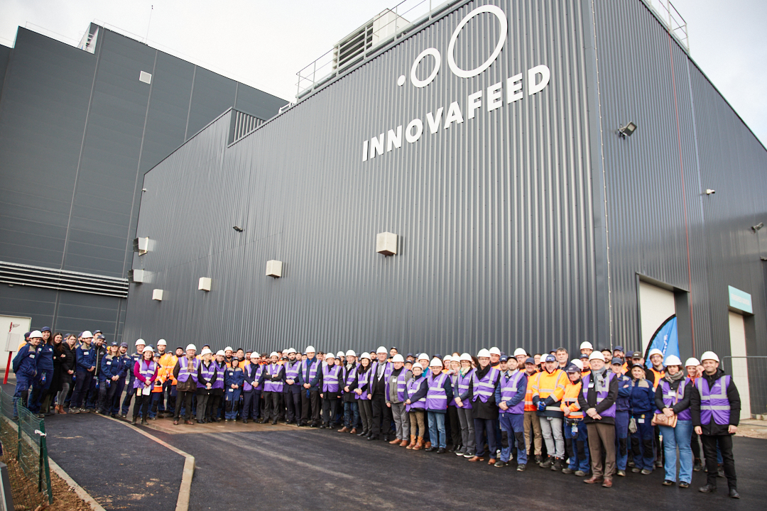 Innovafeed : nouveau plus grand site de production d'insectes au monde