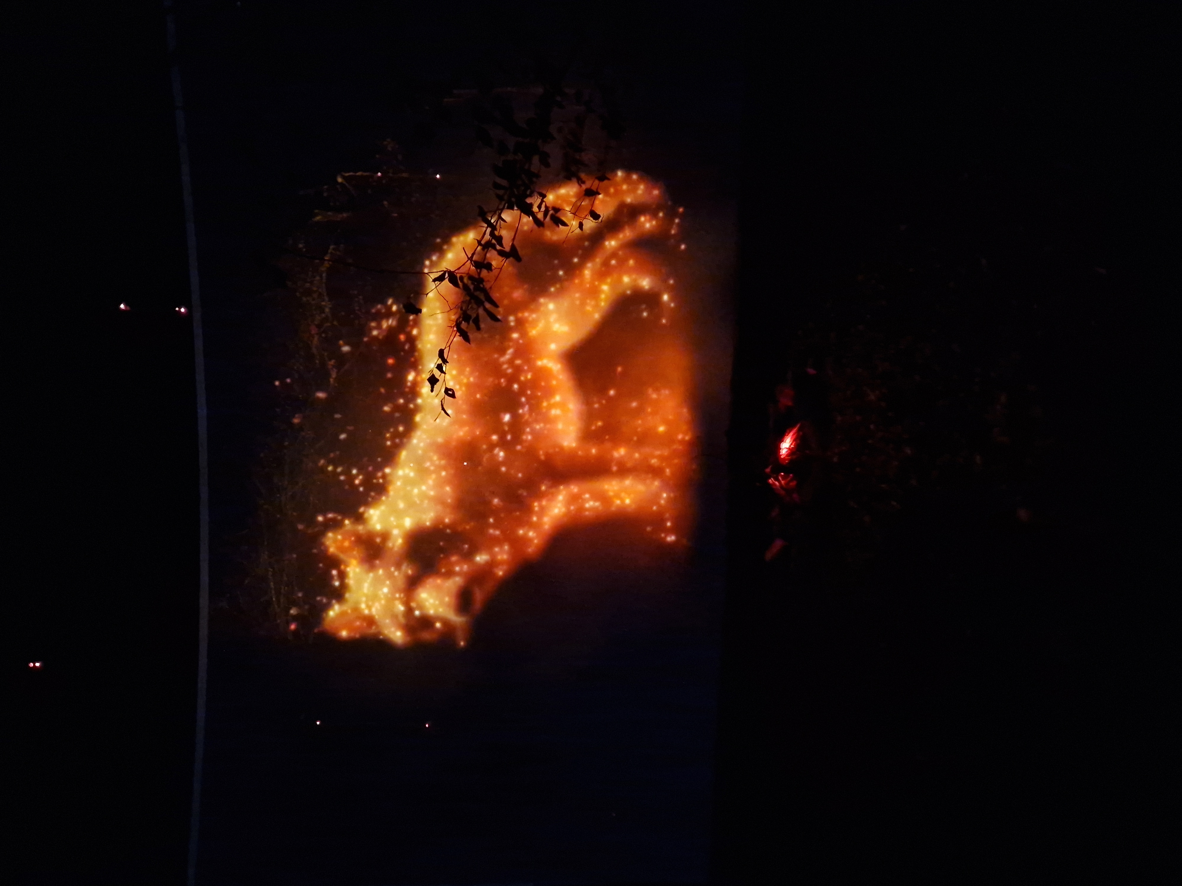   1 000 ambassadeurs MOSL vont découvrir «Lumières d’hiver»