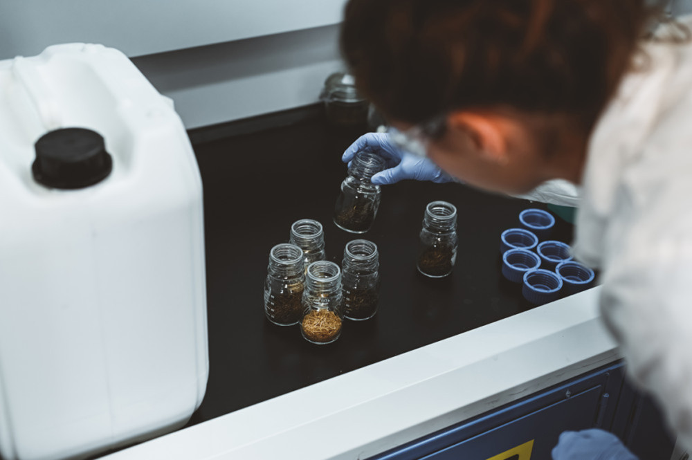 PAT participe au projet européen Bryomolécules