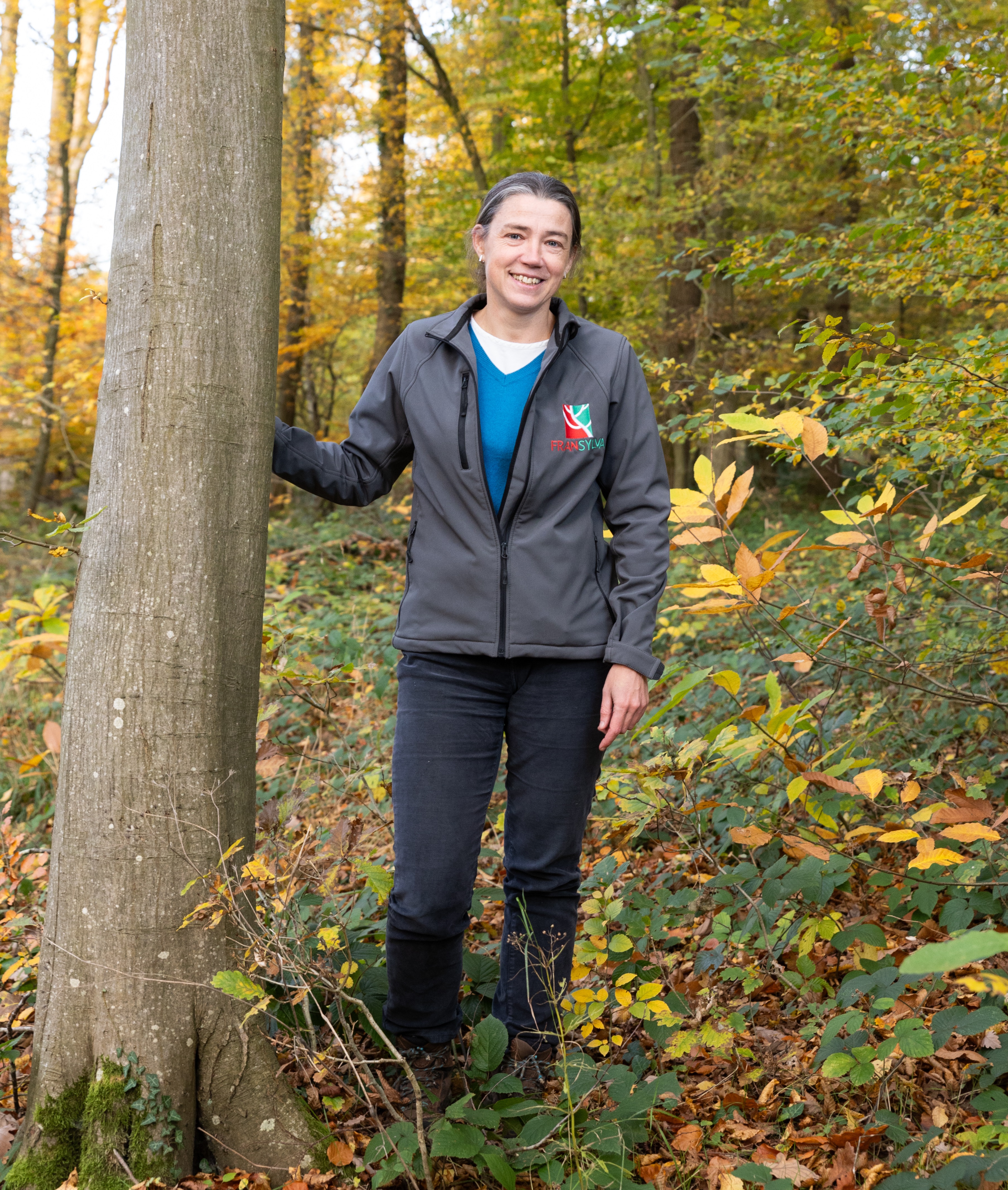 Fransylva Hauts-de-France, le garant de la vie des forêts