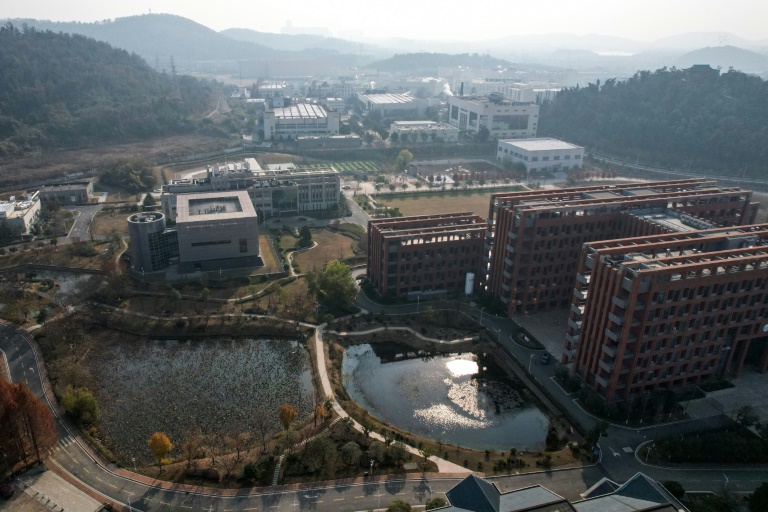 Aux sources du Covid-19: fuite d'un laboratoire ou origine naturelle?