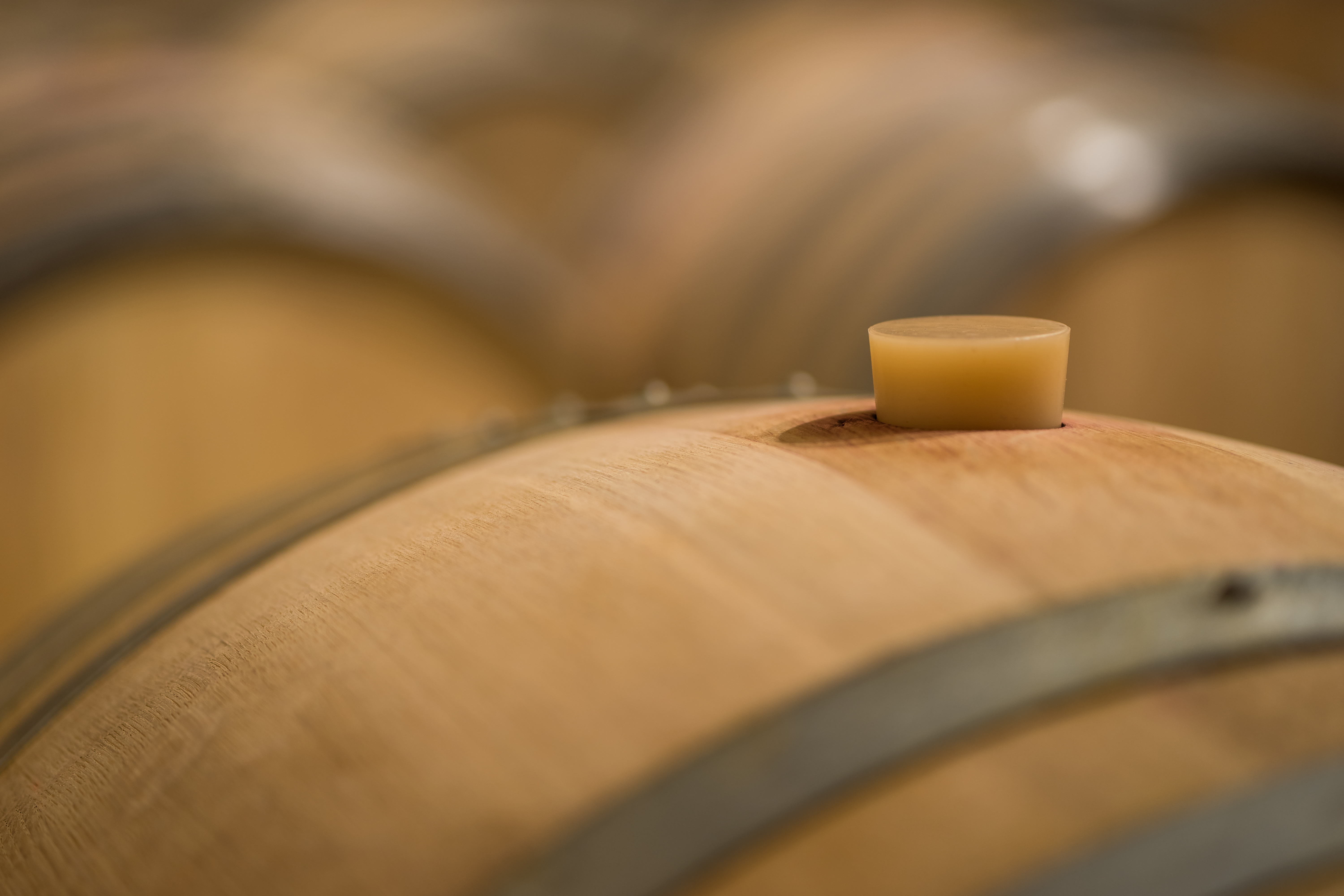 La Maison Albert Bichot va élever du Chardonnay Blanc au bord d’un cargo-voilier 