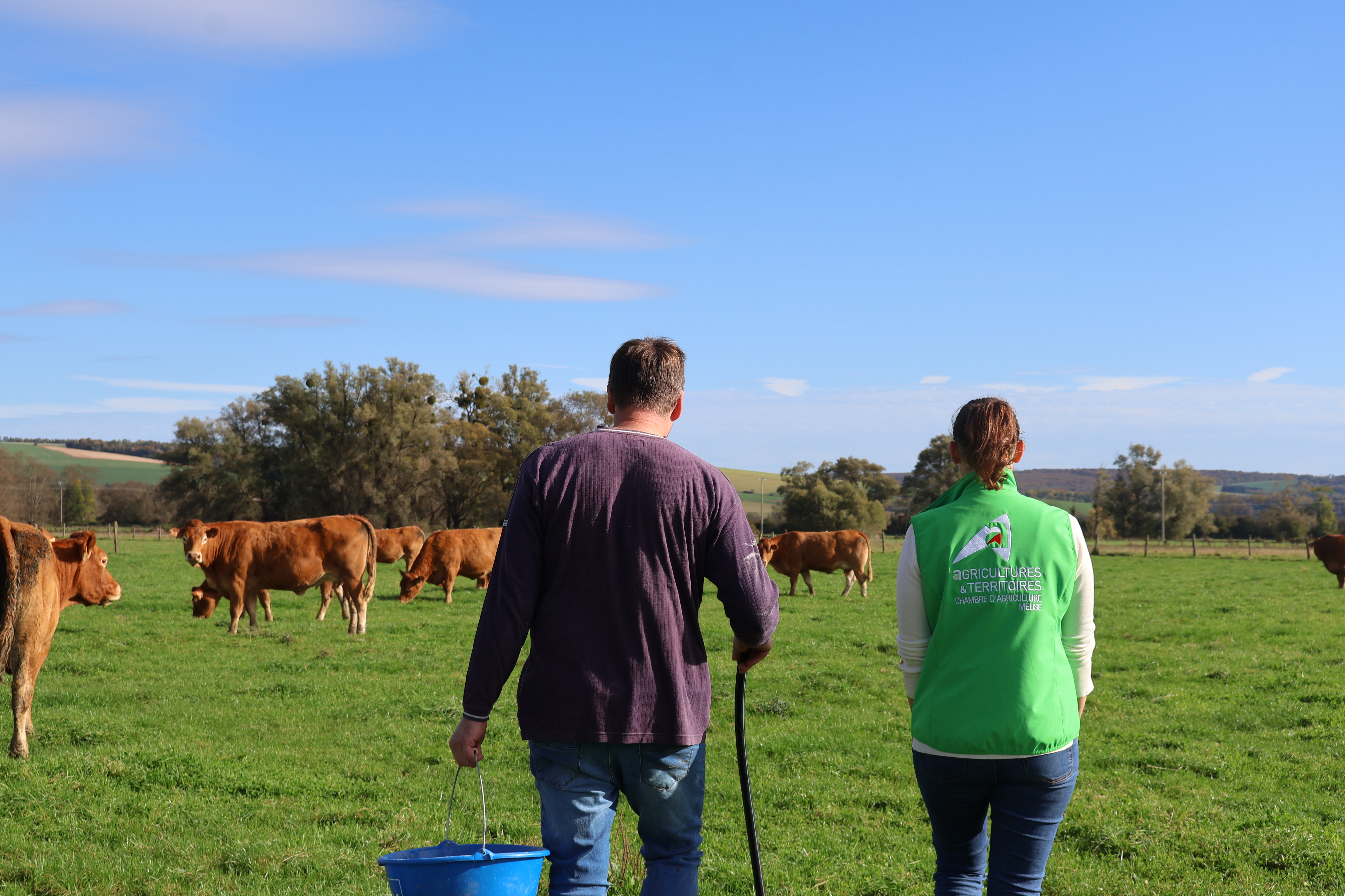 Chambre d’agriculture Meuse : Élections en cours