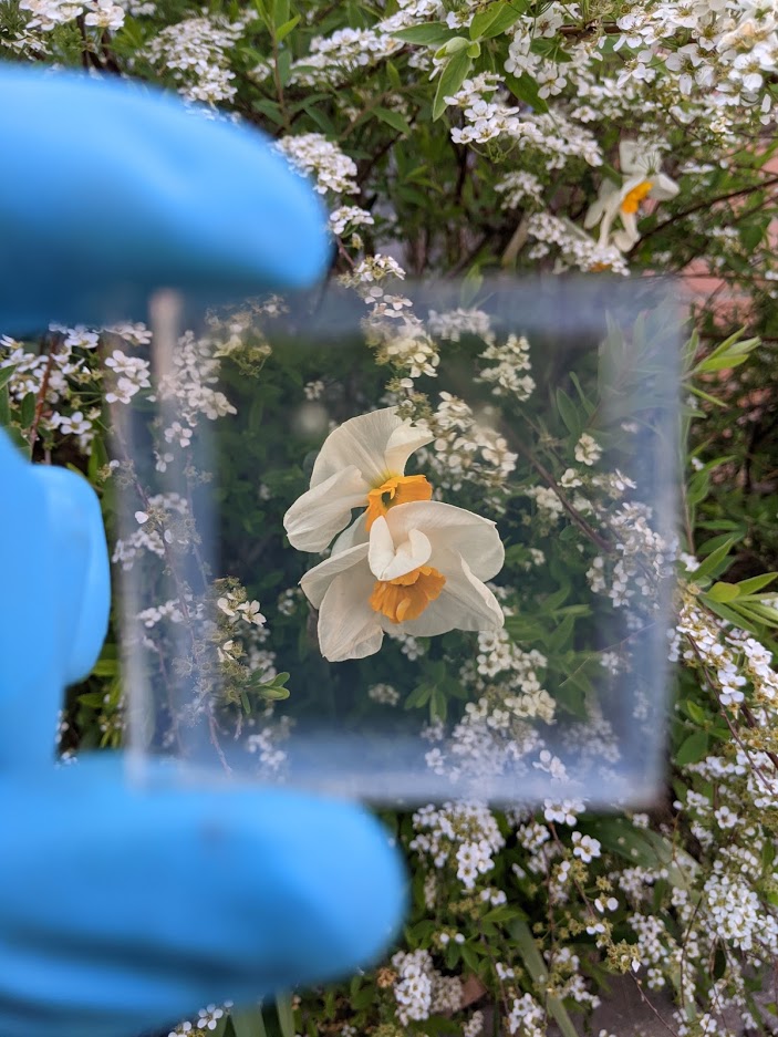 L'innovation photovoltaïque et du verre avec l'Université de Picardie