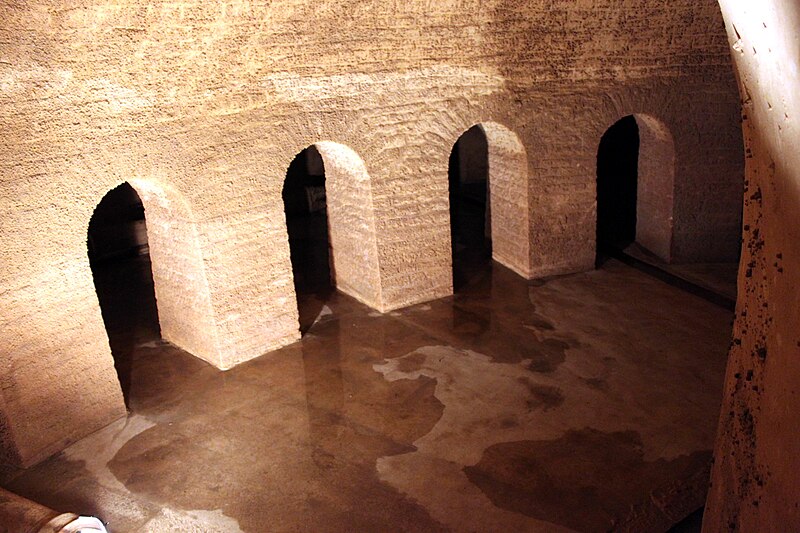 Dijon : des bouteilles de vin immergées dans le réservoir Darcy