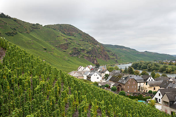 Les rendez-vous de la Réserve de la Biosphère de Moselle Sud