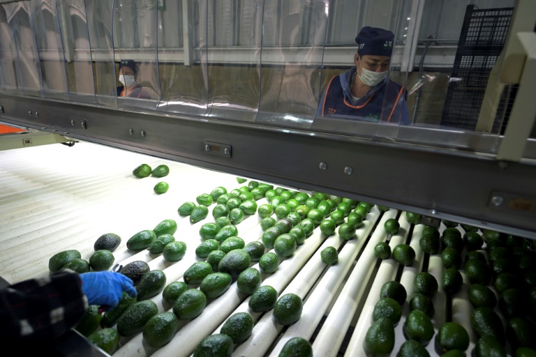 Malgré Trump, les avocats mexicains très demandés aux Etats-Unis pour le Super Bowl