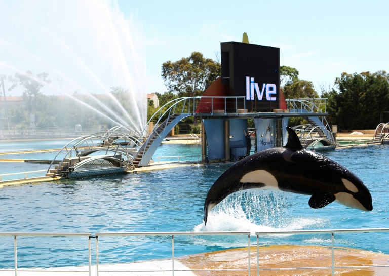Orques de Marineland: Pannier-Runacher veut un sanctuaire européen