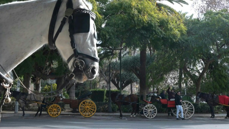 Espagne: la ville de Málaga veut mettre fin aux balades en calèches