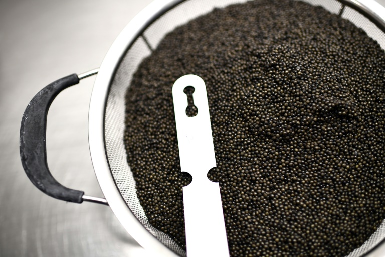 Aquaculture: le caviar d'Aquitaine obtient de l'UE sa certification IGP