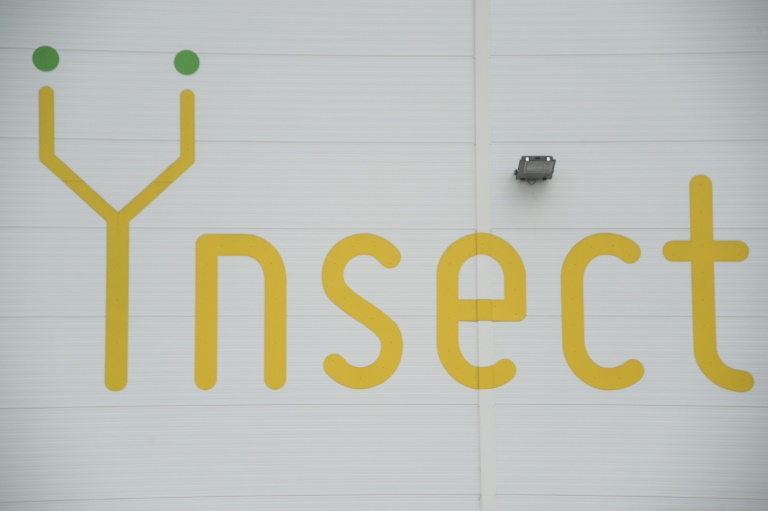 Protéines d'insectes: la start-up Ynsect n'a pas trouvé de repreneur ou nouvel investisseur