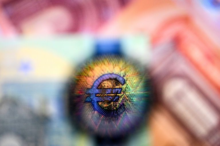 Zone euro: l'activité économique poursuit sa légère croissance en février (PMI Flash)