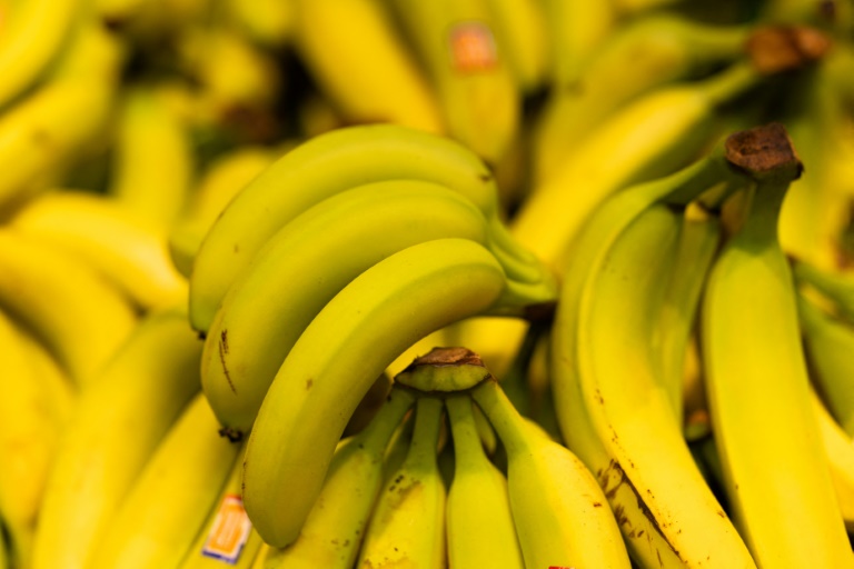 Les producteurs de bananes antillais alertent sur une 