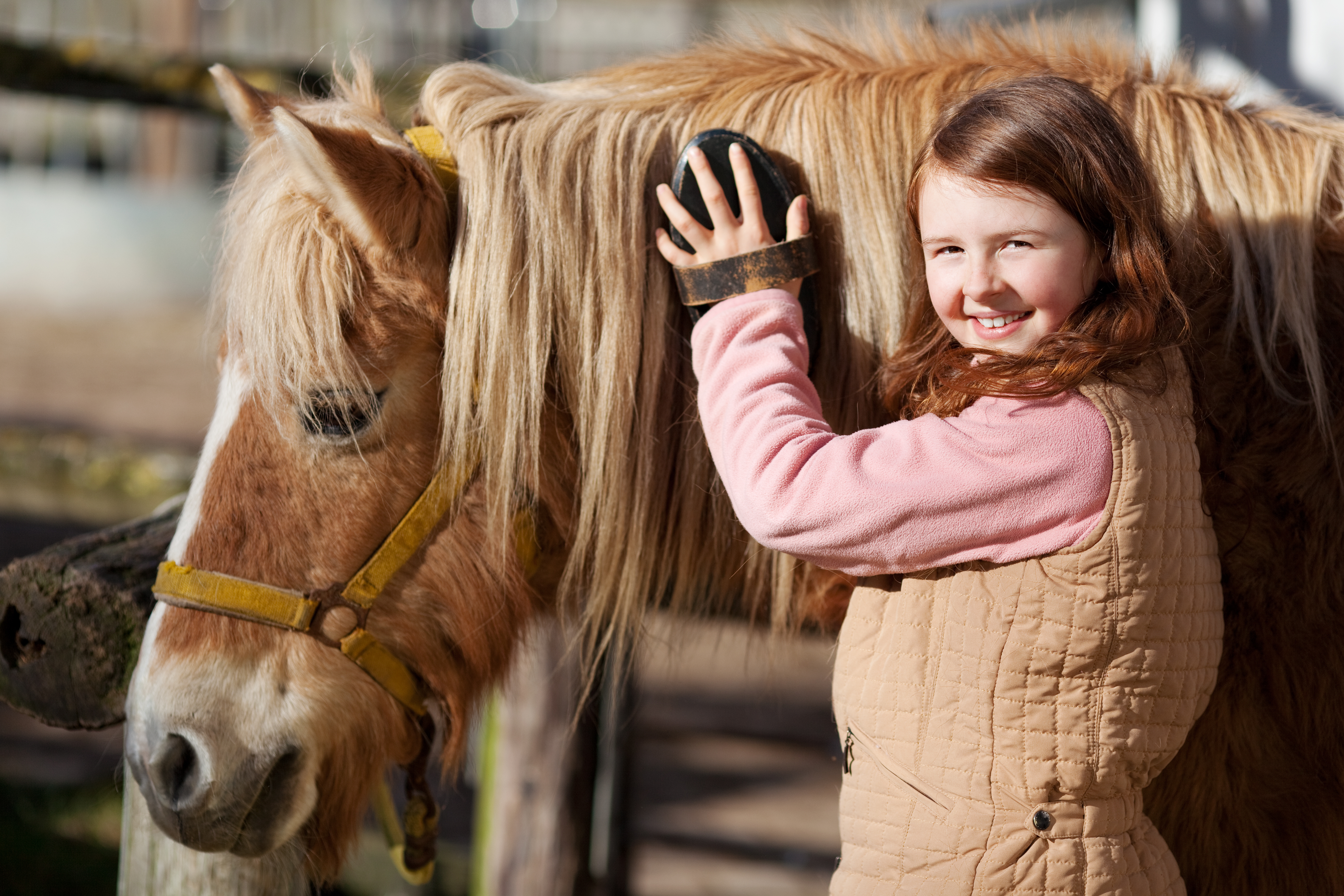 La Ferme de Woimbey propose des activités ludiques pour les enfants 