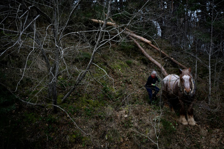 En Ardèche, la communauté autogérée Longo Maï a pris racine