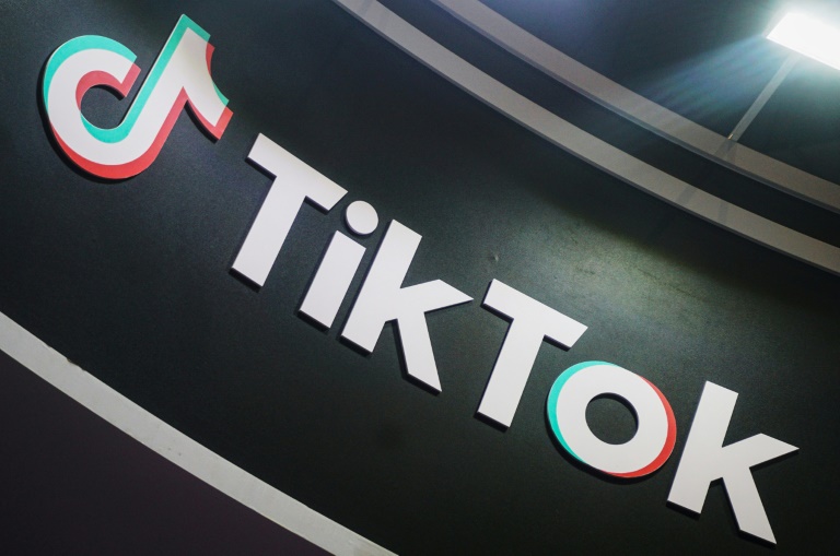 Effets psychologiques de TikTok sur les mineurs: l'Assemblée en passe de créer une commission d'enquête