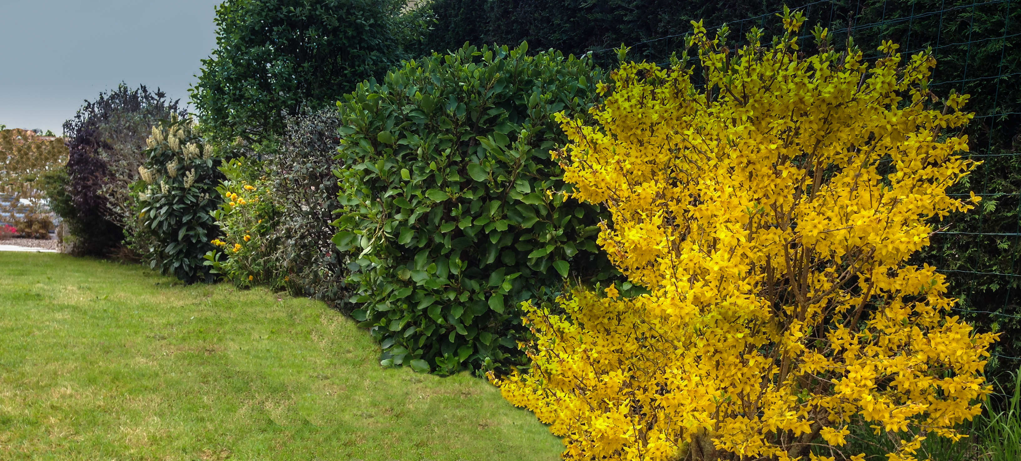 Engagement durable confirmé