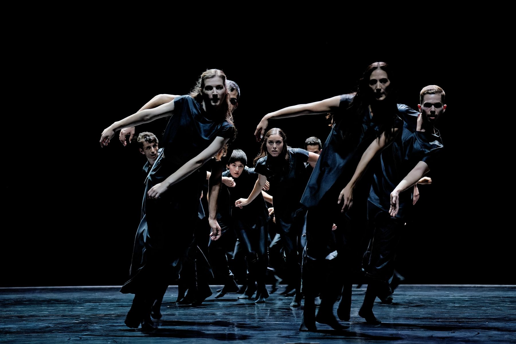 «Mycélium» à l'Opéra de Lille