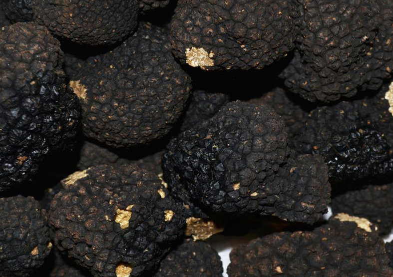 Nouveau contrat de filière pour les trufficulteurs du Grand Est