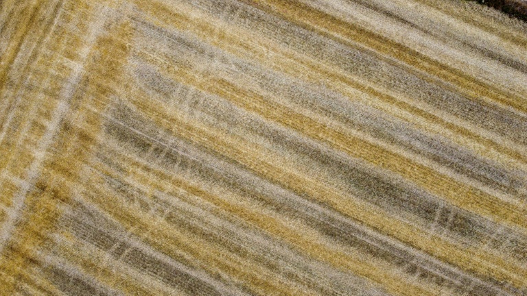 Taxer les engrais russes, le projet de l'UE qui inquiète les agriculteurs