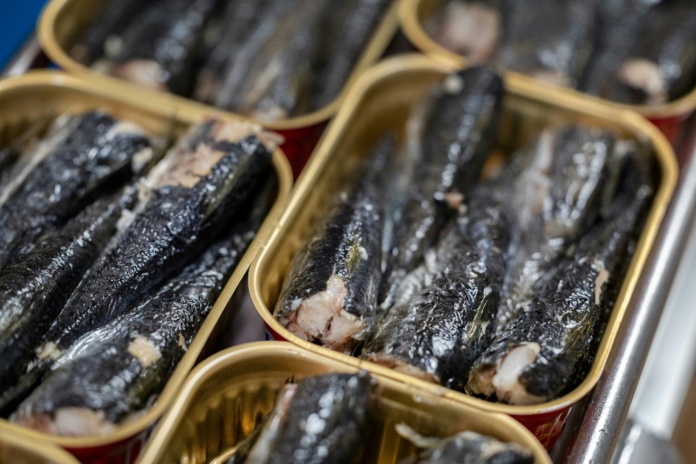 La sardine en boîte mise à mal par le changement climatique