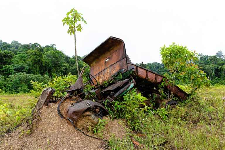 Loi simplification: un article sur la réforme du code minier inquiète les écologistes en Guyane